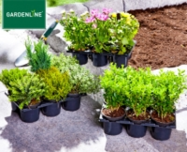 GARDENLINE&reg;Herbstmix 3.59&nbsp;&euro;