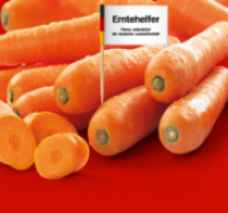 Karotten 0.79 €