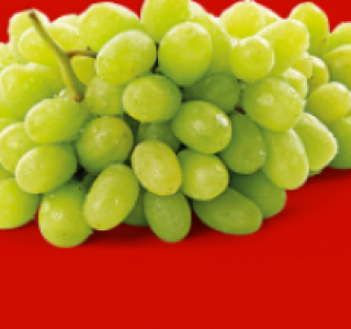Helle Tafeltrauben 1.49 €