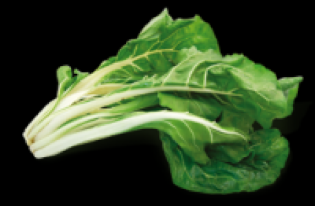 Mangold 2.47 €
