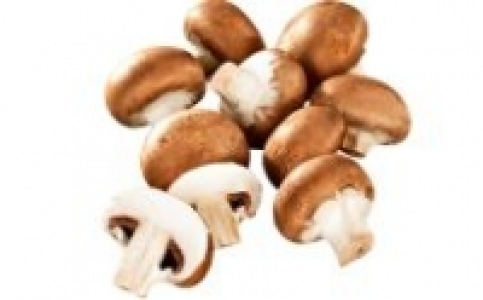 Champignons braun 0.99 €