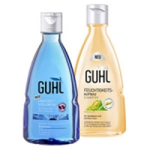 Guhl Shampoo 2.99 €