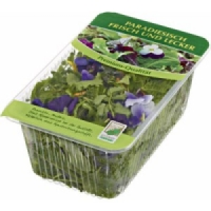 Wildkr&auml;utersalat 9.99&nbsp;&euro;