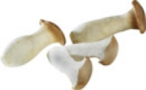 Kräuterseitlinge 0.99 €