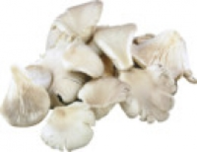 Austernpilze 1.99 €