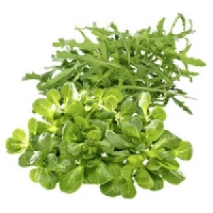 Deutschland/Frankreich Feldsalat oder Deutschland/Italien Rucola Salat 0.69&nbsp;&euro;