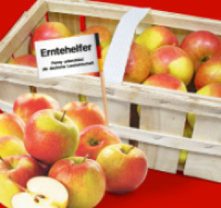 Rote Tafeläpfel 3.49 €