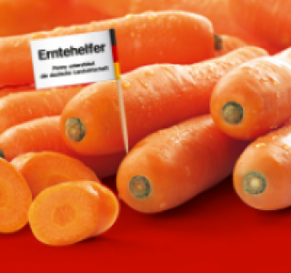 Karotten 0.79 €