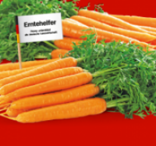 Karotten 0.69 €