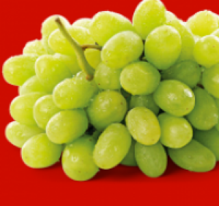 Helle Tafeltrauben 1.49 €