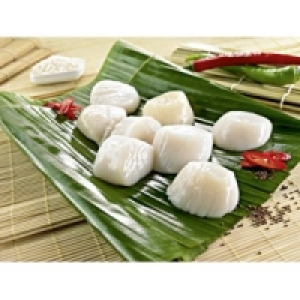 MSC Kammmuschelfleisch 24.99&nbsp;&euro;