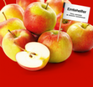 Rote Tafeläpfel 1.69 €