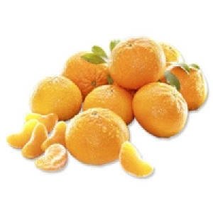 Spanien Clementinen 0.99 €