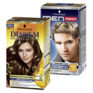 Perfect Mousse, Diadem oder Men Perfect Coloration 3.99&nbsp;&euro;