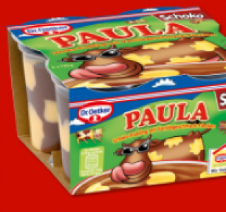 DR. OETKER Paula Pudding oder Minis 1.11 €
