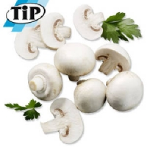 Niederlande/Polen Champignons, weiß 1.99 €