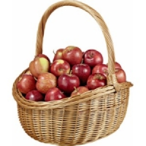 Äpfel versch. Sorten 9.99 €