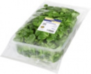 Feldsalat 1.49 €