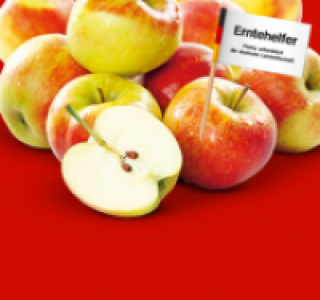 Rote Tafeläpfel 0.79 €