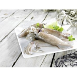 Kalamar Forbesi California 4.99&nbsp;&euro;