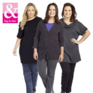 Damen-Pullover oder -Strickjacke 29.95 €