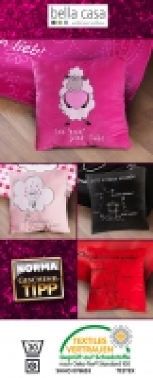 Pl&uuml;schkissen 3.99&nbsp;&euro;