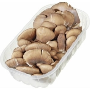 Austernpilze 2.29 €