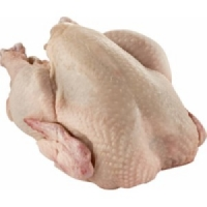 Fine Food Finestro Stubenk&uuml;ken 5.99&nbsp;&euro;