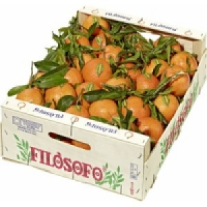 Clementinen mit Blatt 8.99&nbsp;&euro;