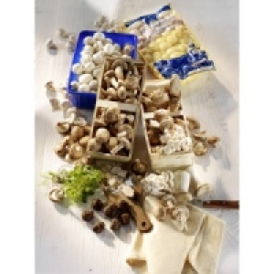 Frische Pilzspezialit&auml;ten 3.99&nbsp;&euro;