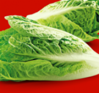 Romana-Salatherzen 0.59 €