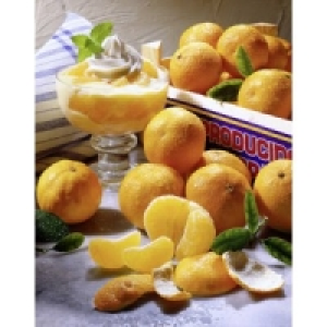 Clementinen Bollo 3.49 €