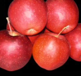 Tafeläpfel rot 0.79 €