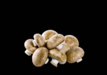 Champignons 79.00 €