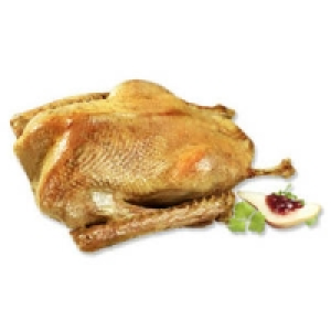 Polnische Hafermastgans 2.99&nbsp;&euro;