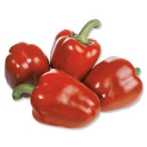 Spanien Paprika, rot 1.19 €