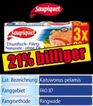 Thunfisch-Filets 2.49 €