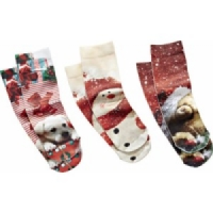 Damen Socken 1.99 €