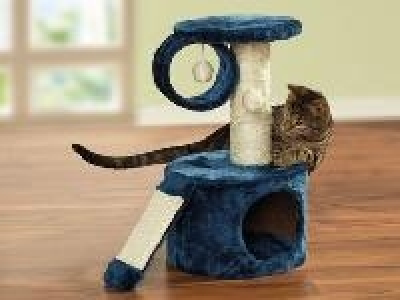 Zoofari Katzenkratzbaum klein, blau