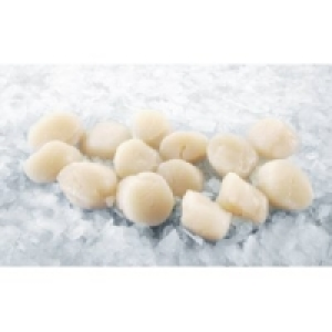 MSC Kammmuschelfleisch 24.99&nbsp;&euro;