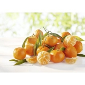Clementinen mit Blatt 6.99&nbsp;&euro;