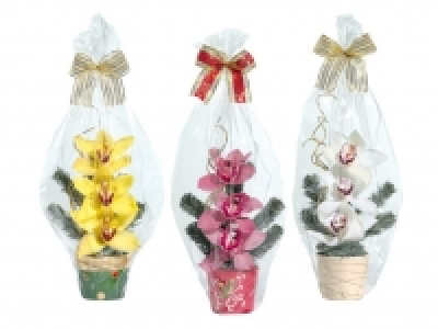 Orchideengesteck 3.99 €