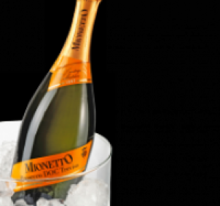 MIONETTO Prosecco Spumante Brut, Treviso DOC 5.99 €
