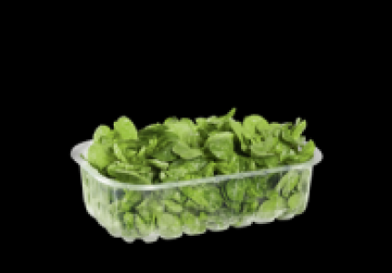 Feldsalat 1.79 €