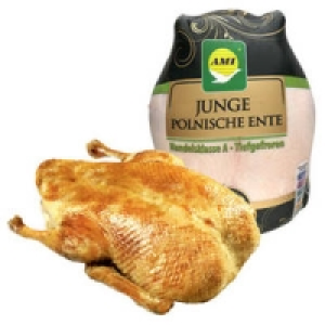 Junge Ente bratfertig 2.22&nbsp;&euro;