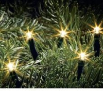 LED-Lichterkette, 10er 4.99 €