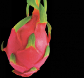 Rote Pitahaya 1.49&nbsp;&euro;