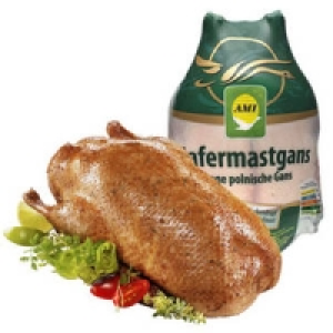 Polnische Hafermastgans 2.99&nbsp;&euro;