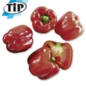 Spanien Paprika, rot 1.19 €