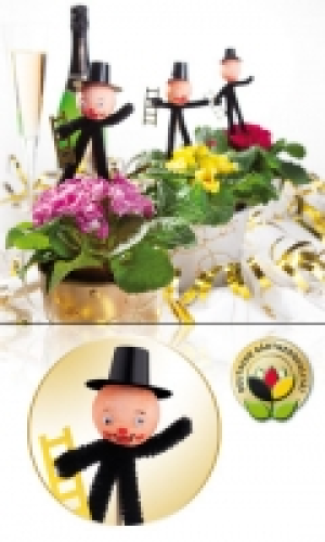 Silvesterprimel 0.99 €